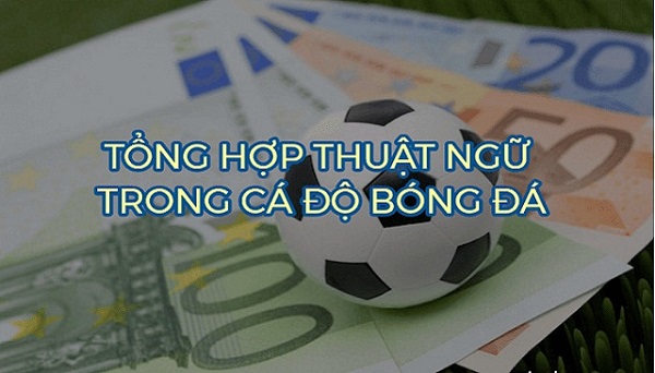 Tổng hợp những thuật ngữ tiếng Anh cần nhớ khi soi kèo