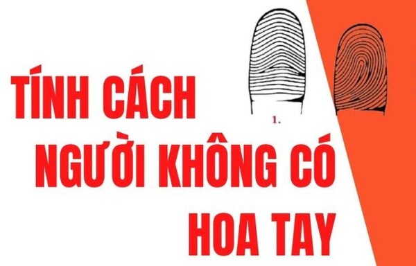 Người không có hoa tay có ý nghĩa gì? Vận mệnh cuộc đời như thế nào?