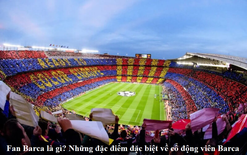 Fan Barca là gì? Những đặc điểm đặc biệt về cổ động viên Barca