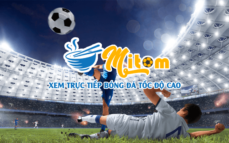 Mitom Net: Nơi tỷ lệ kèo không chỉ là con số, mà là cả nghệ thuật đọc trận
