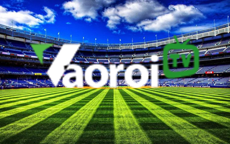 Không ví, không giật, không tài khoản – chỉ cần Sopcast link từ Vào Rồi là đủ