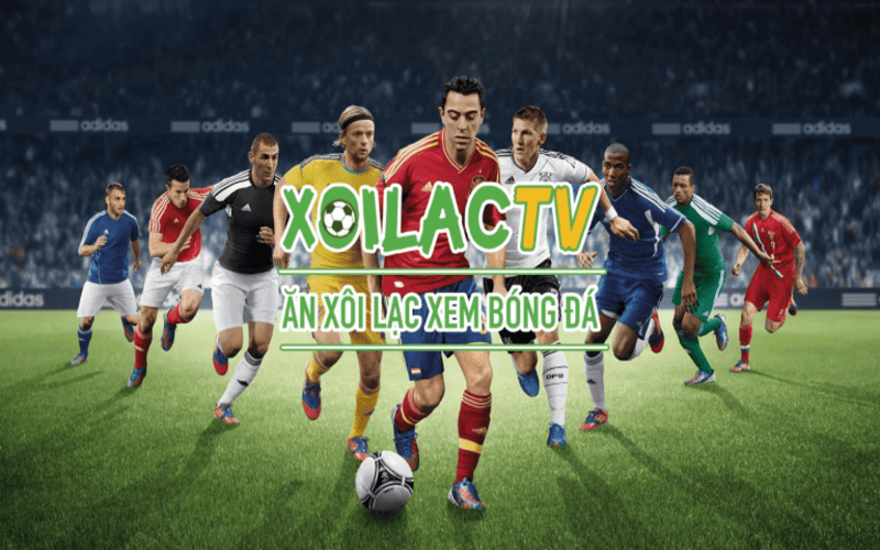 Link xem trực tiếp bóng đá hôm nay trên Xoilac TV – Cập nhật liên tục